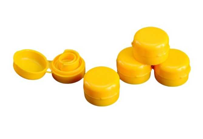 Flip top cap mould